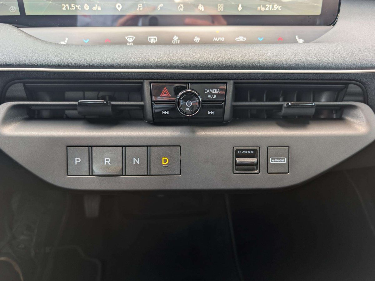 Nissan Leaf Visureigis / Krosoveris Elektra