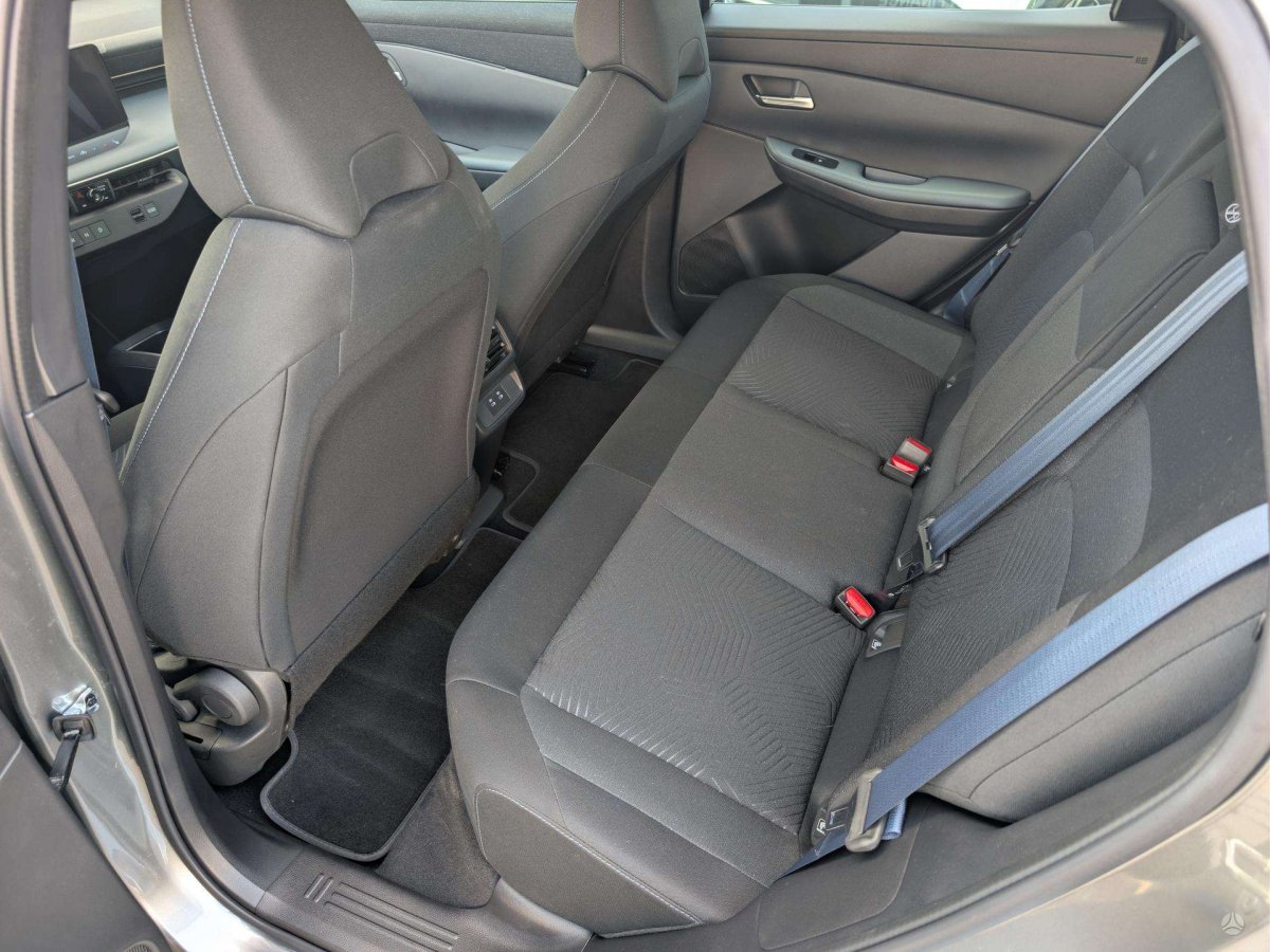 Nissan Leaf Visureigis / Krosoveris Elektra