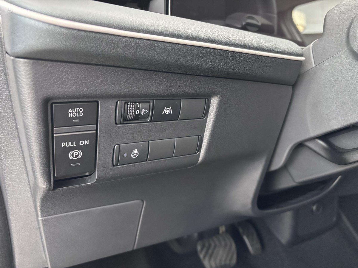 Nissan Leaf Visureigis / Krosoveris Elektra