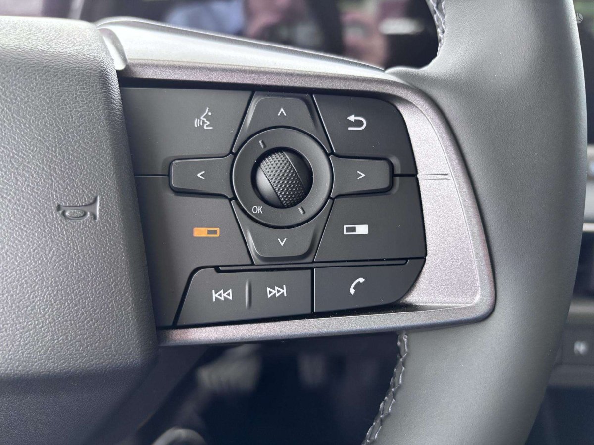 Nissan Leaf Visureigis / Krosoveris Elektra