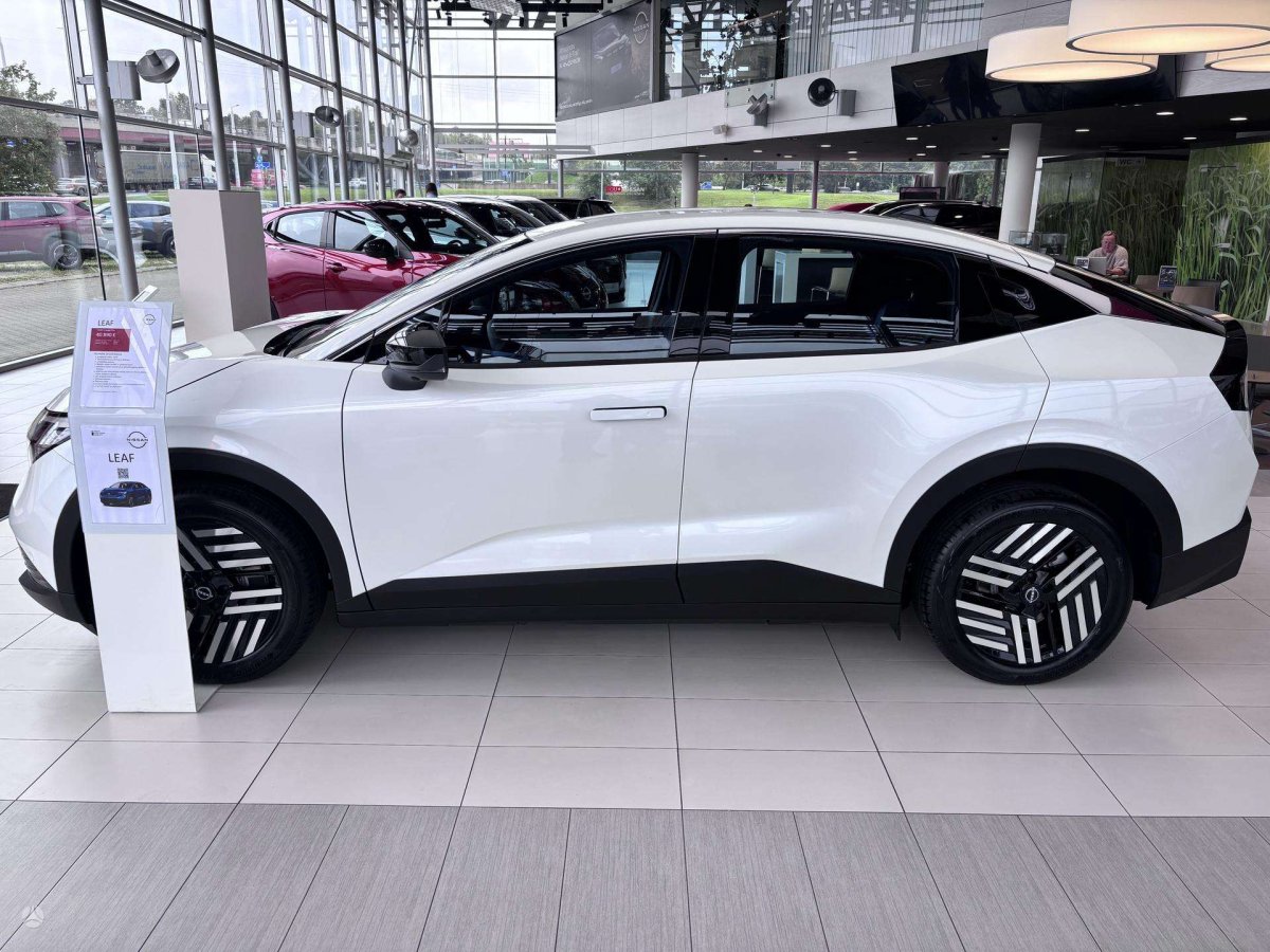 Nissan Leaf Visureigis / Krosoveris Elektra