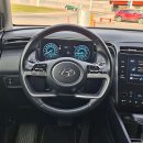Hyundai Tucson Visureigis / Krosoveris Benzinas / elektra nuotrauka 19