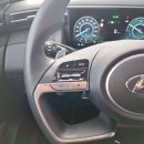 Hyundai Tucson Visureigis / Krosoveris Benzinas / elektra nuotrauka 17
