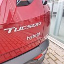 Hyundai Tucson Visureigis / Krosoveris Benzinas / elektra nuotrauka 31