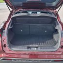 Nissan Juke Visureigis / Krosoveris Benzinas nuotrauka 21