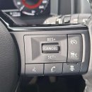 Nissan X-Trail Visureigis / Krosoveris Benzinas / elektra nuotrauka 19