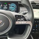 Hyundai Tucson Visureigis / Krosoveris Benzinas / elektra nuotrauka 13