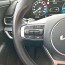 Kia Sportage Visureigis / Krosoveris Benzinas / elektra nuotrauka 14