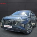 Hyundai Tucson Visureigis / Krosoveris Benzinas / elektra nuotrauka 1