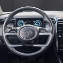 Hyundai Tucson Visureigis / Krosoveris Benzinas / elektra nuotrauka 20
