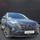 Hyundai Tucson Visureigis / Krosoveris Benzinas / elektra nuotrauka 6