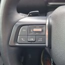 Citroen C4 X Visureigis / Krosoveris Benzinas nuotrauka 19