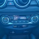 Nissan Juke Visureigis / Krosoveris Benzinas nuotrauka 12