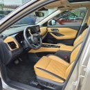 Nissan X-Trail Visureigis / Krosoveris Benzinas / elektra nuotrauka 8