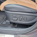 Hyundai Santa Fe Visureigis / Krosoveris Benzinas / elektra nuotrauka 16