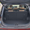 Hyundai Santa Fe Visureigis / Krosoveris Benzinas / elektra nuotrauka 32