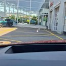Nissan Qashqai Visureigis / Krosoveris Benzinas / elektra nuotrauka 17