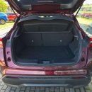 Nissan Juke Visureigis / Krosoveris Benzinas nuotrauka 27