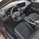 Nissan Juke Visureigis / Krosoveris Benzinas nuotrauka 9