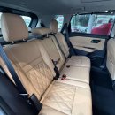 Nissan X-Trail Visureigis / Krosoveris Benzinas / elektra nuotrauka 29