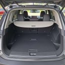 Nissan X-Trail Visureigis / Krosoveris Benzinas / elektra nuotrauka 12