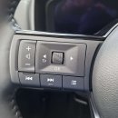 Nissan X-Trail Visureigis / Krosoveris Benzinas / elektra nuotrauka 25