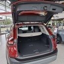 Nissan X-Trail Visureigis / Krosoveris Benzinas / elektra nuotrauka 12