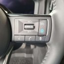 Nissan X-Trail Visureigis / Krosoveris Benzinas / elektra nuotrauka 18