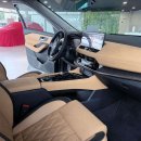Nissan X-Trail Visureigis / Krosoveris Benzinas / elektra nuotrauka 19