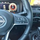 Nissan Juke Visureigis / Krosoveris Benzinas / elektra nuotrauka 13