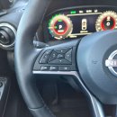 Nissan Juke Visureigis / Krosoveris Benzinas / elektra nuotrauka 14