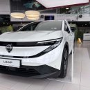 Nissan Leaf Visureigis / Krosoveris Elektra nuotrauka 1