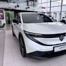 Nissan Leaf Visureigis / Krosoveris Elektra nuotrauka 4