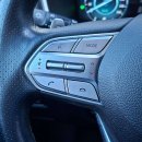 Hyundai Santa Fe Visureigis / Krosoveris Benzinas / elektra nuotrauka 22