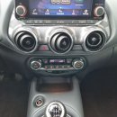 Nissan Juke Visureigis / Krosoveris Benzinas nuotrauka 20
